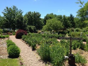 Centennial Garden Flowers - Comstock Nebraska