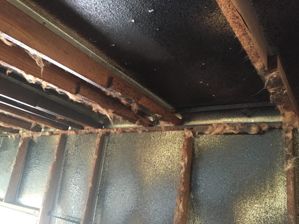 1952 Royal Spartanette Before ANY Restoration Work - interior ceiling view