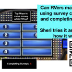 can RVers make money using survey companies