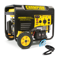 Champion Power Equipment 46565 Gasoline