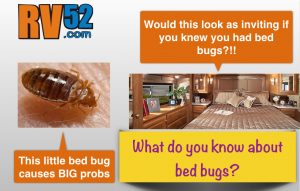 rv bed bug quick info page