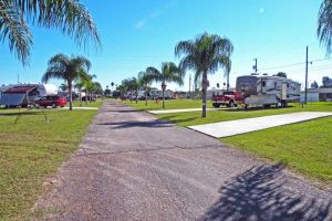 La Feria South Texas Breezewood RV Park Palm Line Spacious RV Sites