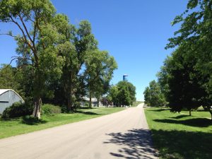 Tree Lined Street Comstock Nebraska