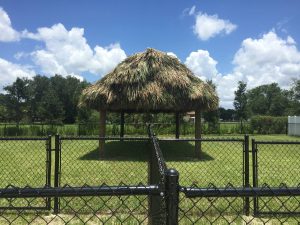 Cypress Trail Fort Myers Florida RV Park Dog Friendly 2